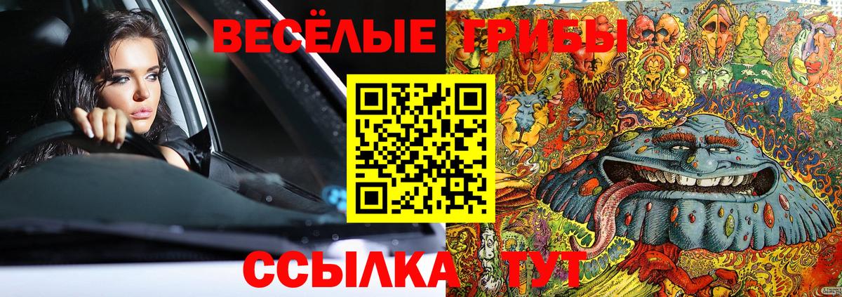Галлюциногенные грибы Magic Shrooms Красноярск