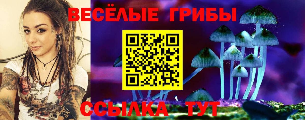 Галлюциногенные грибы Cubensis  Вход с VPN  Красноярск 